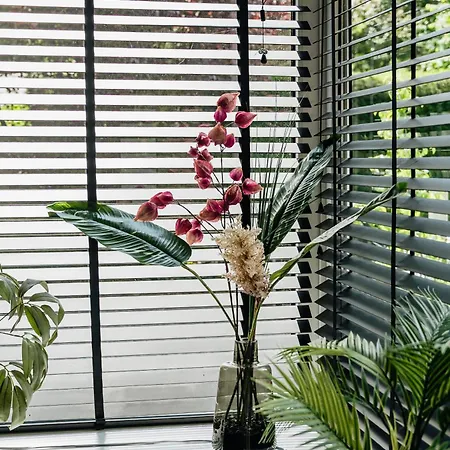 Veluwse Wellness Selina Holiday home *