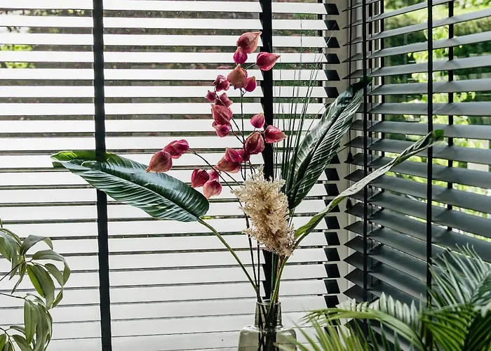 Veluwse Wellness Selina Dom wakacyjny *