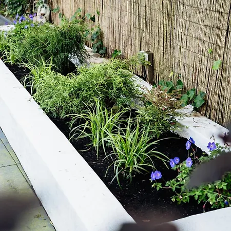 Veluwse Wellness Selina *